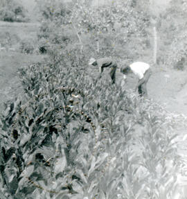 5722-6.jpg