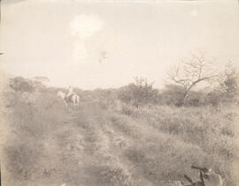 079291.jpg