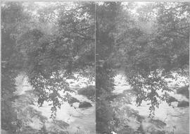079414