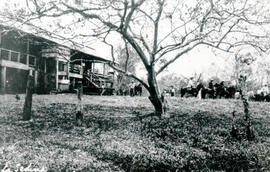 Fotografía de la Hacienda La Sedina en el Valle de San Carlos. Se observa una casona, personas de...
