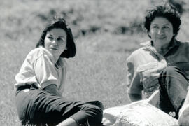 4986-6.jpg