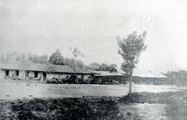 Fotografía del antiguo beneficio de café. Finca La Uruca, de las empresas cafetaleras de los Sala...