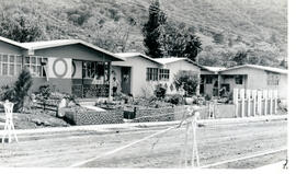 4424-1.jpg