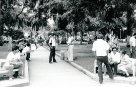 Fotografías con imágenes del Parque de Pérez Zeledón de suroeste a noroeste, y de oeste a este. A...