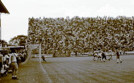 6277-37.jpg