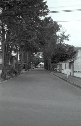 Fotografía de vista de la avenida 5 y al fondo el Parque Francia, Barrio Escalante, San José