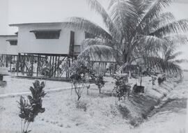 Fotografía de dos casas anti inundaciones del proyecto diversificación agrícola
