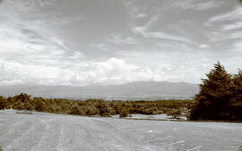 4986-2.jpg