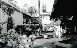 6249-11.jpg