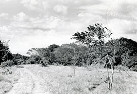 4153-23.jpg