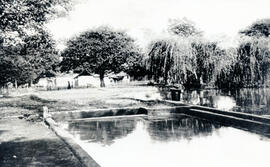 Fotografía del lago que se encuentra en la Finca Turnón San José