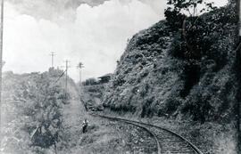 Fotografía de la línea ferroviaria Milla 66 en las cercanías de Florencia. Se observa parte del t...