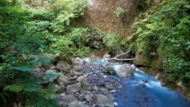 Video de la Catarata Morpho Azul, ubicada en Buenos Aires de Upala
