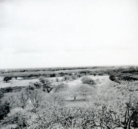 4119-12.jpg