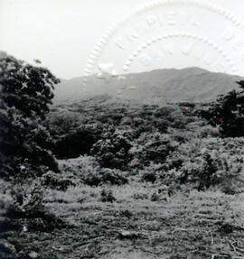 4128-3.jpg