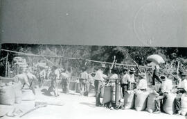 Fotografía de trabajadores que pesan sacos de café en un beneficio de Guillermo Willie, ubicado e...