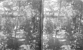 079381.jpg