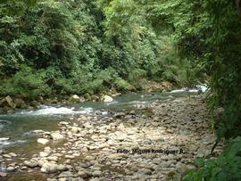 Fotografías del Parque Nacional Braulio Carrillo, que conecta San José con las llanuras de Guápiles