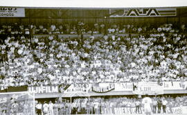 6277-27.jpg