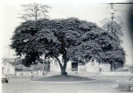 101-2.jpg
