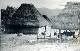 Fotografía de cabañas de indios de Costa Rica. Se observan algunos animales San José