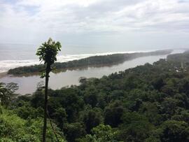 Fotografías del Refugio Nacional de Vida Silvestre Barra del Colorado, Pococí de Limón