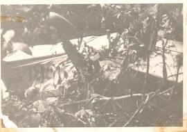 251951.jpg