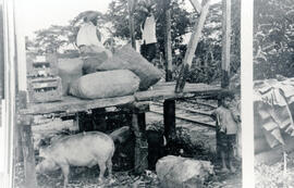 4821-3.jpg