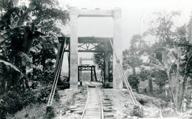 4615-19.jpg