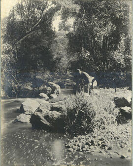 Fotografía de un río en una Región no identificada. Se observan grandes piedras y vegetaciónCosta...