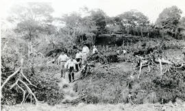Fotografías panorámicas del terreno en que se va a construir el parque de la Trinidad de Moravia....