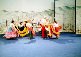 Fotografía del grupo folclórico, en la participación del Festival Tierra y Cosecha, Instituto Tec...