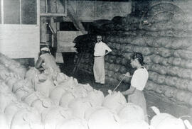 Fotografía de una bodega de planta de cacao Perteneciente a la compañía Bananera de Costa Rica. A...
