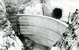 4168-4.jpg