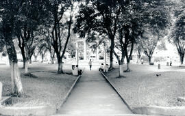4035-4.jpg