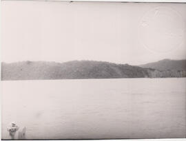 3661-7.jpg
