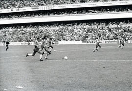 6274-14.jpg
