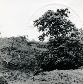 4128-5.jpg