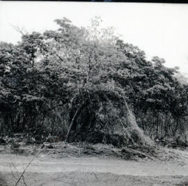 4117-9.jpg