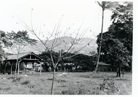 4153-18.jpg