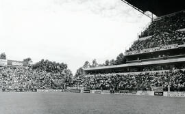 6226-5.jpg