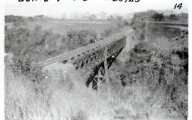 5936-2.jpg
