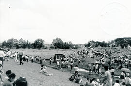 4989-14.jpg