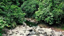 Vídeo reportaje sobre visita a las cataratas Las Golondrinas en La Perla de Guácimo