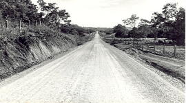 Fotografías de camino entre las Huacas y Villarreal, Guanacaste