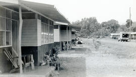 4423-2.jpg