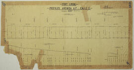 Plano Puerto Limón. Perfiles Avenidas A, F y calle S. Escalas: H=0:100 F + V= 10 F. T = 1 Inch. I...