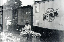 Fotografía del ferrocarril ubicado en Línea Vieja. Se observan algunos vagones del tren, así como...