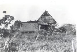 Fotografía de una casa típica en la orilla del río San Juan, frontera con Costa Rica. Nicaragua