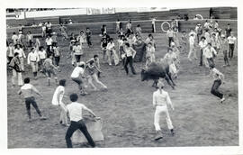 Fotografía con la imagen de una corrida de toros realizada durante las fiestas populares de Zapot...